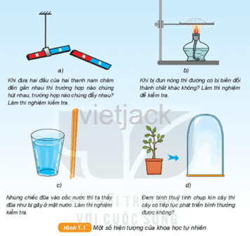 Hình 1.1 dưới đây mô tả một số hiện tượng. Em hãy đọc và thực hiện yêu cầu