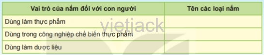 Nêu tên các loại nấm mà em biết và tác dụng của chúng rồi hoàn thành bảng theo mẫu sau