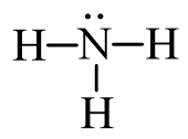 Trình bày các bước lập công thức Lewis của phân tử ammonia