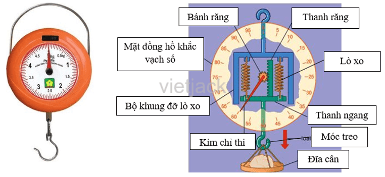 Hãy quan sát, mô tả cấu tạo (mặt trước và bên trong) của cân lò xo 