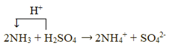 Hãy giải thích tại sao ammonia tan tốt trong nước