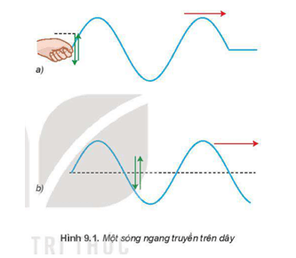 Dựa vào Hình 9.1 và Hình 9.2 hãy chỉ ra điểm giống và khác nhau giữa sóng dọc và sóng ngang