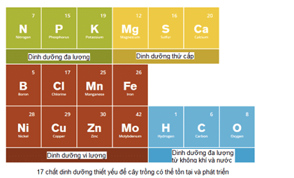 Trình bày về các nguyên tố dinh dưỡng cần thiết cho cây trồng