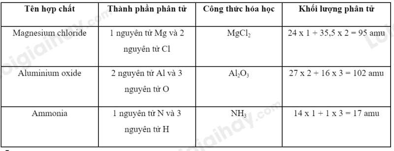  (ảnh 2)