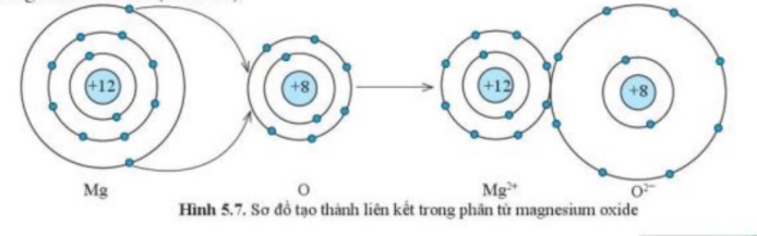  (ảnh 1)