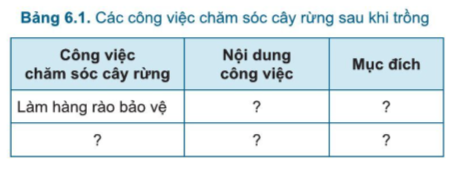 Công nghệ 7 Bài 6: Chăm sóc cây rừng sau khi trồng | Cánh diều (ảnh 4)