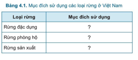 Công nghệ 7 Bài 4: Giới thiệu chung về rừng | Cánh diều (ảnh 2)