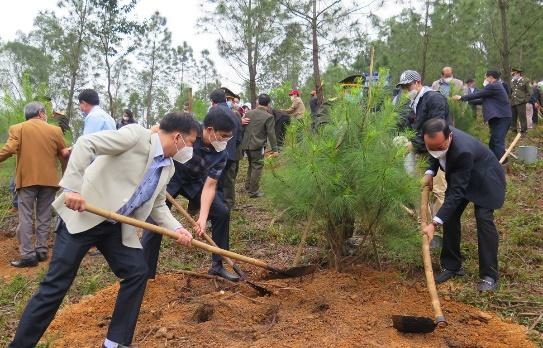 Công nghệ 7 Bài 5: Trồng cây rừng | Cánh diều (ảnh 2)