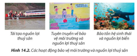 Công nghệ 7 Bài 14: Bảo vệ môi trường và nguồn lợi thủy sản | Chân trời sáng tạo (ảnh 3)