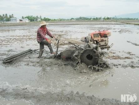 Công nghệ 7 Bài 2: Quy trình trồng trọt | Cánh diều (ảnh 5)