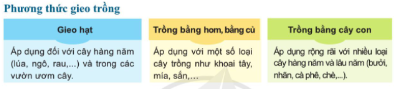 Công nghệ 7 Bài 2: Quy trình trồng trọt | Cánh diều (ảnh 9)