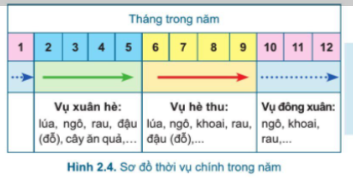 Công nghệ 7 Bài 2: Quy trình trồng trọt | Cánh diều (ảnh 8)