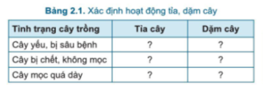 Công nghệ 7 Bài 2: Quy trình trồng trọt | Cánh diều (ảnh 10)