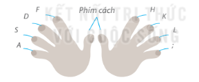 Tin học lớp 3 trang 25, 26, 27, 28, 29 Bài 5: Sử dụng bàn phím | Kết nối tri thức (ảnh 2)