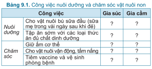 Công nghệ 7 Bài 9: Nuôi dưỡng và chăm sóc vật nuôi | Cánh diều (ảnh 2)