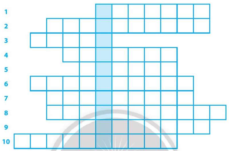 Sách bài tập GDCD 7 Bài 5 (Chân trời sáng tạo): Bảo tồn di sản văn hóa (ảnh 1)