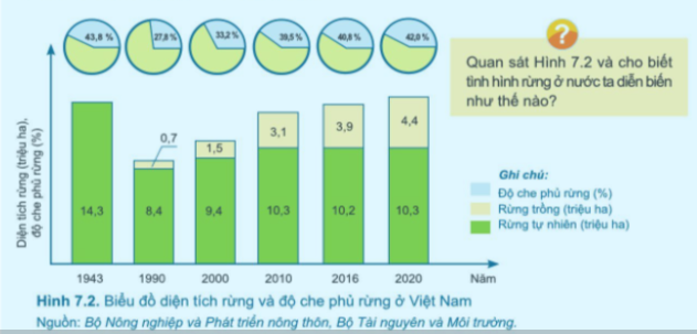 Công nghệ 7 Bài 7: Bảo vệ rừng | Cánh diều (ảnh 2)