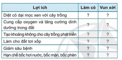 Công nghệ 7 Bài 2: Quy trình trồng trọt | Cánh diều (ảnh 12)