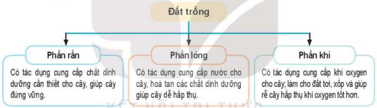 Công nghệ 7 Bài 1: Quá trình hình thành và phát triển của chế độ phong kiến ở Tây Âu | Kết nối tri thức (ảnh 1)