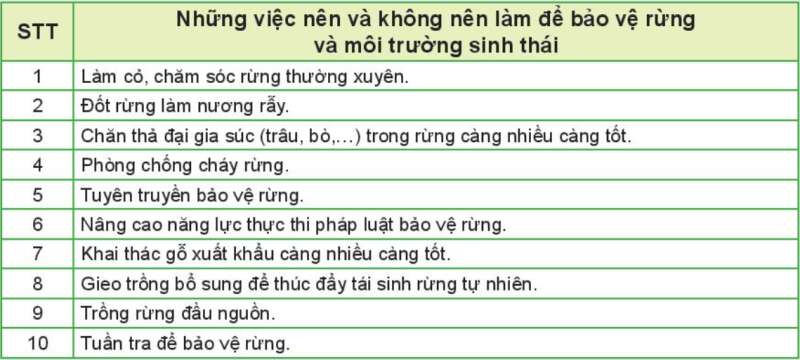 Công nghệ 7 Bài 8: Trồng, chăm sóc và bảo vệ rừng | Kết nối tri thức (ảnh 17)