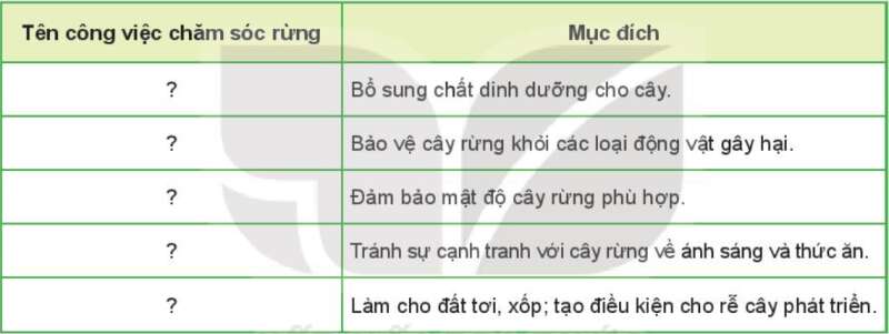 Công nghệ 7 Bài 8: Trồng, chăm sóc và bảo vệ rừng | Kết nối tri thức (ảnh 18)