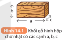 Giáo án KHTN 8 Bài 14 (Kết nối tri thức 2023): Thực hành xác định khối lượng riêng | Khoa học tự nhiên 8 (ảnh 1)