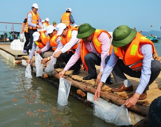 Công nghệ 7 Bài 14: Bảo vệ môi trường và nguồn lợi thủy sản | Cánh diều (ảnh 5)