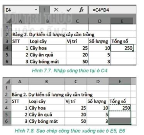 Tin học 7 Bài 7: Tính toán tự động trên bảng tính | Kết nối tri thức (ảnh 5)