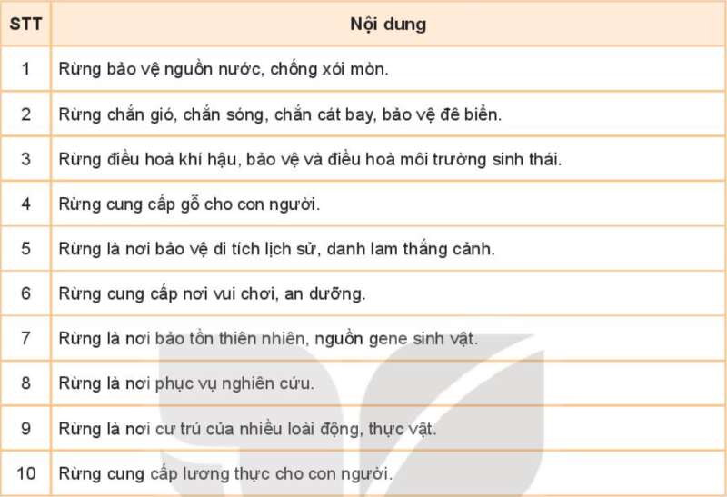 Công nghệ 7 Bài 7: Giới thiệu về rừng | Kết nối tri thức (ảnh 2)