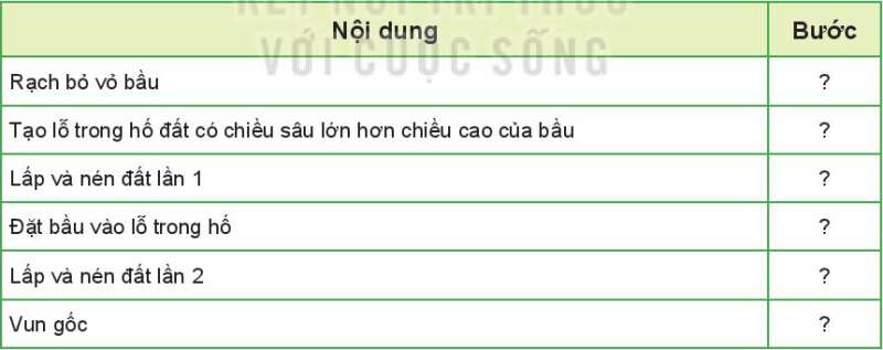 Công nghệ 7 Bài 8: Trồng, chăm sóc và bảo vệ rừng | Kết nối tri thức (ảnh 2)