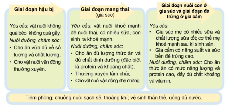 Công nghệ 7 Bài 9: Nuôi dưỡng và chăm sóc vật nuôi | Cánh diều (ảnh 6)