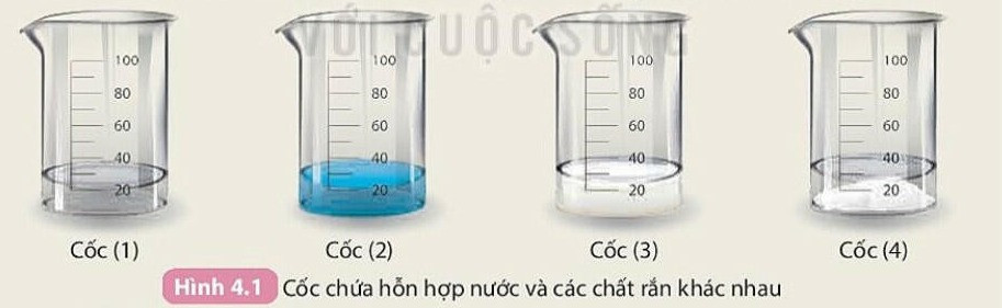 Lý thuyết KHTN 8 Bài 4 (Kết nối tri thức): Dung dịch và nồng độ (ảnh 1)