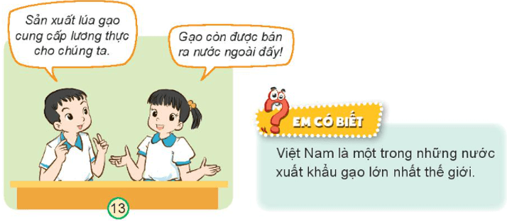 Tự nhiên xã hội lớp 3 Bài 9 trang 38 Khám phá - Kết nối tri thức