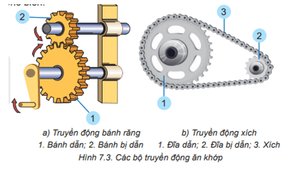 Quan sát Hình 7.3 và mô tả cấu tạo của truyền động bánh răng truyền động xích