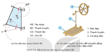 Quan sát và cho biết Các bộ phận trong Hình 7.5b tương ứng với bộ phận nào