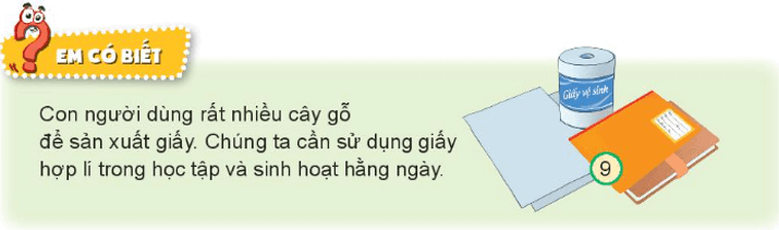 Tự nhiên xã hội lớp 3 Bài 16 trang 68, 69 Khám phá - Kết nối tri thức