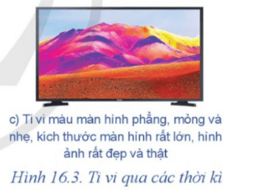 Quan sát Hình 16.3 và cho biết: 1. Đặc điểm của tỉ vi qua các thời kì