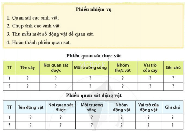 Khi tìm hiểu sinh vật ngoài thiên nhiên, em cần chú ý điều gì để giữ an toàn cho bản thân