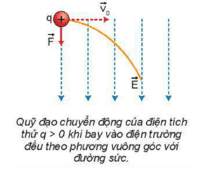 Chúng ta đã biết có sự tương tự giữa chuyển động của một điện tích q trong điện trường