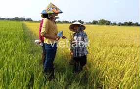 Hãy quan sát hình 1.2 và cho biết khoa học tự nhiên có vai trò như thế nào