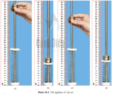 Lò xo bị nén với lực lớn hơn ở hình nào hình 30.2b hay hình 30.2d