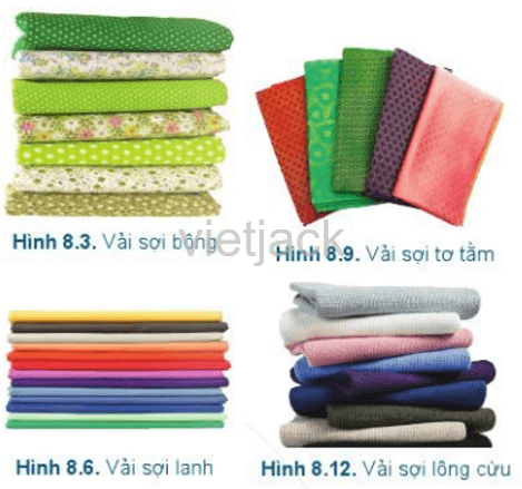 Quan sát Hình 8.3, 8.6, 8.9, 8.12 và kết hợp với thực tế, em hãy nêu nhận xét