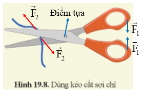 Quan sát hình 19.8 và cho biết đâu là đòn bẩy đâu là điểm tựa và chỉ ra sự thay đổi hướng của lực trong hình