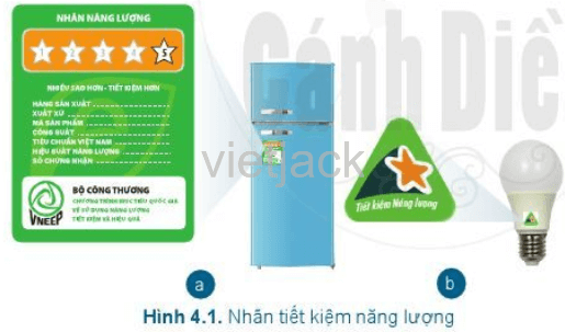 Theo em, số lượng * được thể hiện trên nhãn năng lượng Hình 4.1 (a) 