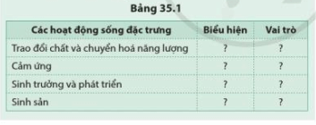 Nêu biểu hiện và vai trò của bốn hoạt động sống đặc trưng cho cơ thể sinh vật