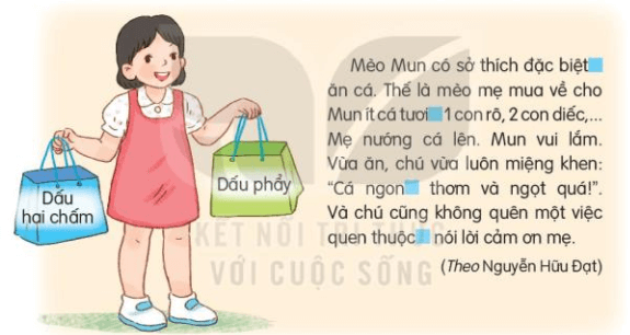 Luyện tập trang 117, 118, 119 Tiếng Việt lớp 3 Tập 2 | Kết nối tri thức