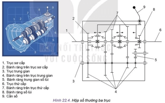 Hãy quan sát Hình 22.4 và so sánh tỉ số truyền của hộp số ở hai vị trí