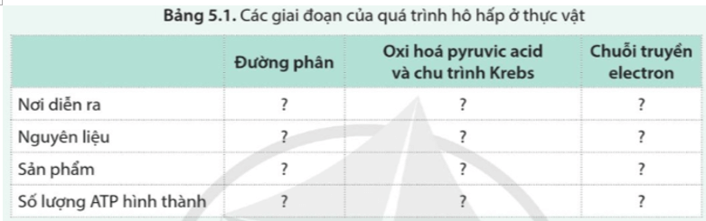 Hoàn thành bảng 5.1 trang 37 Sinh học 11