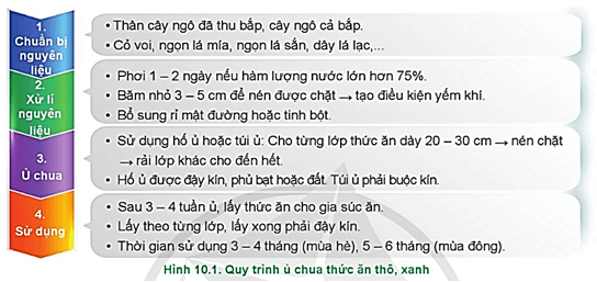  Quan sát Hình 10.1  hãy mô tả các bước của quy trình ủ chua thức ăn thô xanh