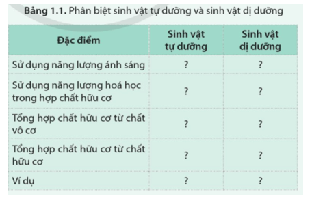 Tìm hiểu thông tin và hoàn thành bảng 1.1 trang 6 Sinh học 11